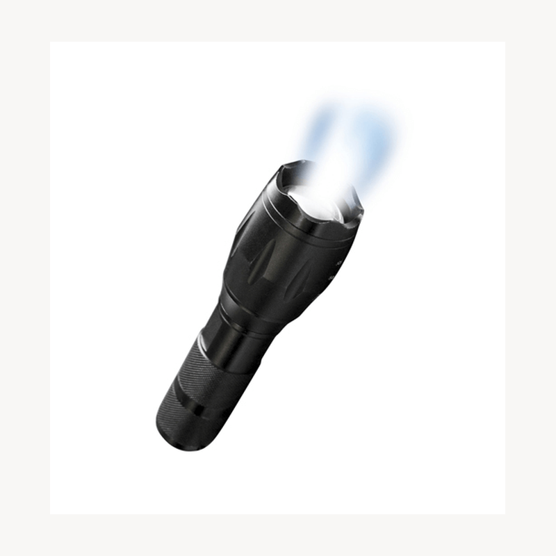Guardian Torch